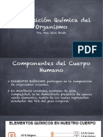 Componentes Del Cuerpo Humano