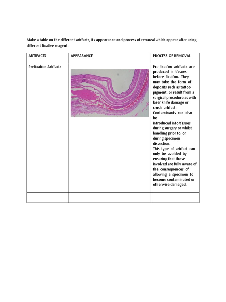 Comparing Artifacts and Their Removal Processes Across Common Fixative
