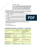 Diferencias entre mitosis y meiosis