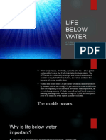 Life Below Water: If There Is Magic On This Planet, It Is Contained in Water