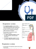10th Lecture - Respiratory System 1