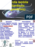 Giardiasis - 2016