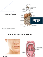 Digestorio Geral