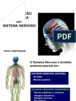 Anatomia Do SN CENTRAL