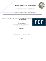PROYECTO DE INVESTIGACIO HACCP PULPA DE CAMUCAMU