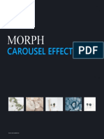 Create Carousel Effect With Morph - Template