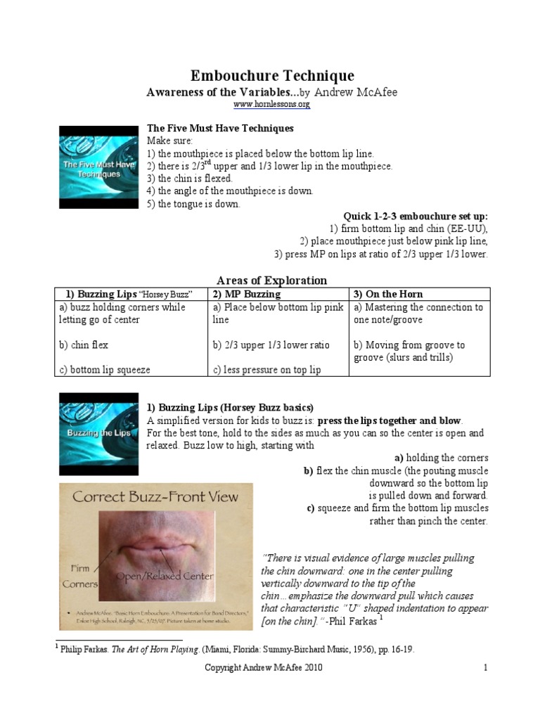 Embouchure Technique Awareness of The Variables.. PDF Orchestras