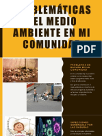 Problemáticas Del Medio Ambiente en Mi Comunidad