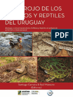 l14 - 2019 Cap Reptiles de LR de Uy