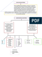 Mapa Conceptual Bacterias