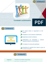 Taxonomia Socioformativa