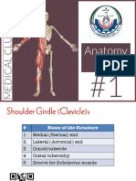 Anatomy LAB #1 - MSS