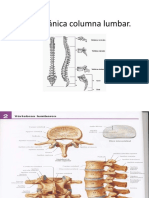 Biomecanica Lumbar