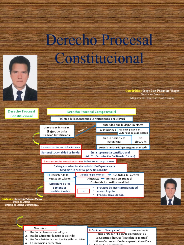 16 Efectos de Las Sentencias Constitucionales en El Perú | PDF
