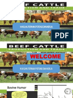 Materi - 2 - Cattle Fattening