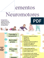 Elementos Neuromotores