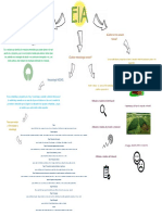 Mapa Mental EIA