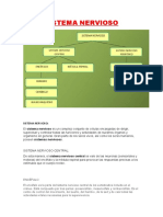 Esquema Sistema Nervioso 05-05-21