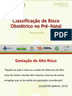 Slides - Classificação de Risco Obstétrico no Pré-Natal