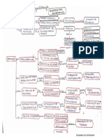 Mapa Conceptual - Competencias