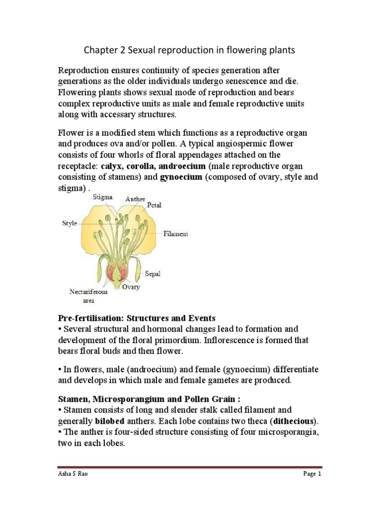 Sexual Reproduction in Flowering Plants | PDF | Seed | Fertilisation