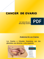 30. Cancer Epitelial Del Ovario