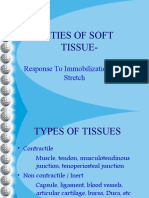 Properties of Soft Tissue-: Response To Immobilization and Stretch