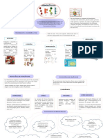 Mapa Conceptual