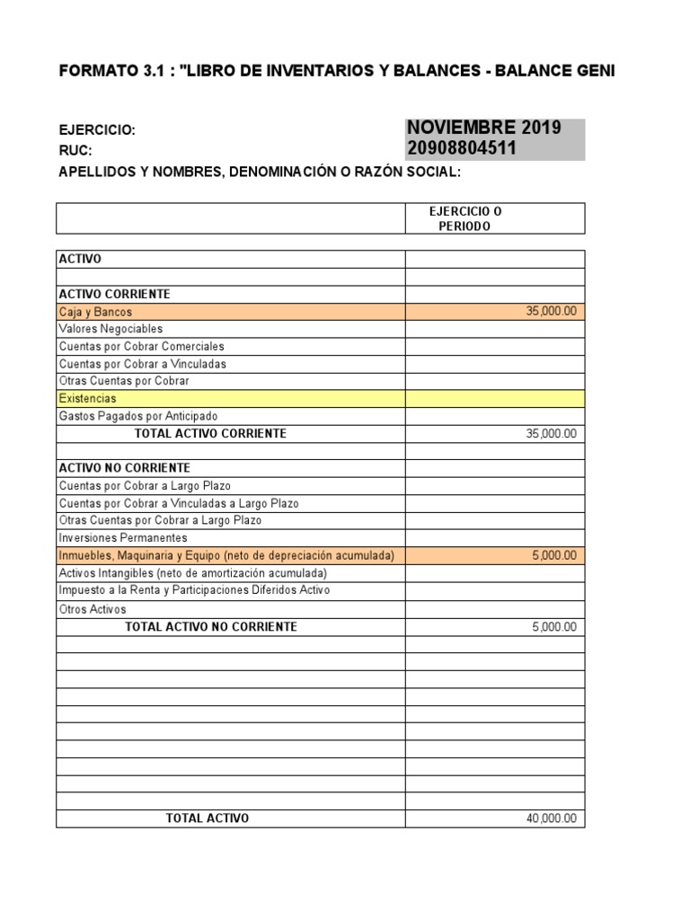 Libro Diario Sunat PDF Contabilidad Activo fijo