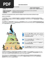 Guía 6° Basico Ciencias N°2