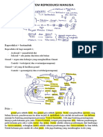 Sistem Reproduksi Manusia