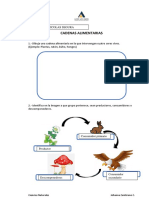 Cadenas Alimentarias Tarea