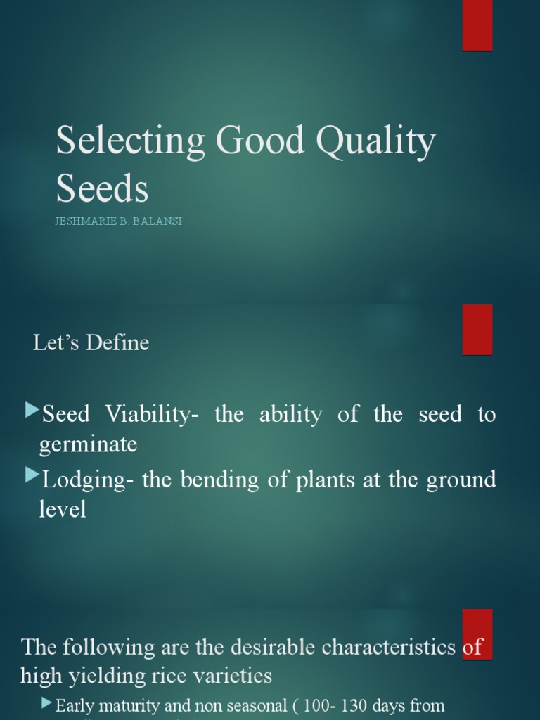 Selecting Quality Seeds for High Yield | PDF | Seed | Rice