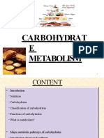 Carbohydratemetabolism