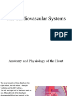 Cardiovascular Systems