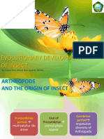 Perkembangan Evolusioner Serangga