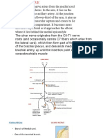 Ulnar Nerve Anatomy and Tests