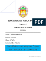 Social Science Project (Sustainable Development) - Nakshatra Paliwal 10th A