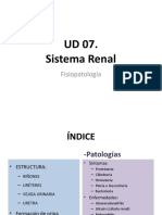 PPT- renal