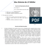 Resumo Meu Sistema de J. P. Müller docx