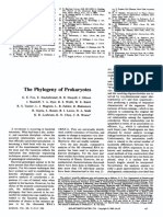 The Phylogeny of Prokariotes, Fox Et Al 1980