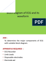 Exp1 ECG Block Diagram