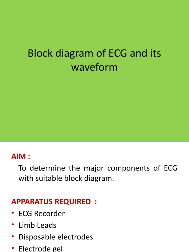 Exp1 ECG Block Diagram PDF