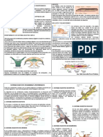 Guia de Profundizacion-Digestion en Invertebrados y Vertebrados