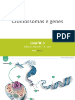 Ctic9 O2 Cromossomas e Genes