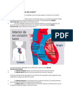 Partes del corazón: ventrículos, aurículas y válvulas