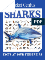 Sharks Facts at Your Fingertips