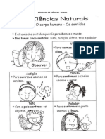 Atividade de Ciências Dezembro