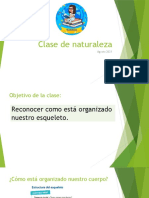 Clase de Naturaleza - Como Se Organiza Nuestro Esqueleto