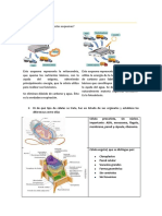 Ejercicios Resueltos Celula